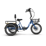 Emojo Dexter Trike