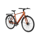 Mokwheel Flint Pro Electric Bike