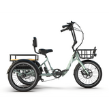 Emojo Dexter Trike