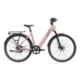 Mokwheel Flint ST Pro Electric Bike