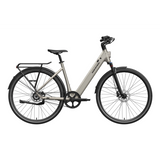 Mokwheel Flint ST Pro Electric Bike