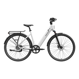 Mokwheel Flint ST Pro Electric Bike