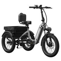 Mokwheel Granite Electric Cargo Tricycle
