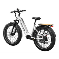 Mokwheel Basalt ST 2.0 Electric Bike