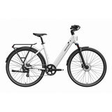 Mokwheel Flint ST Electric Bike