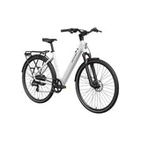 Mokwheel Flint ST Electric Bike