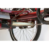 eWheels EW-29 Trike