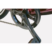 eWheels EW-29 Trike